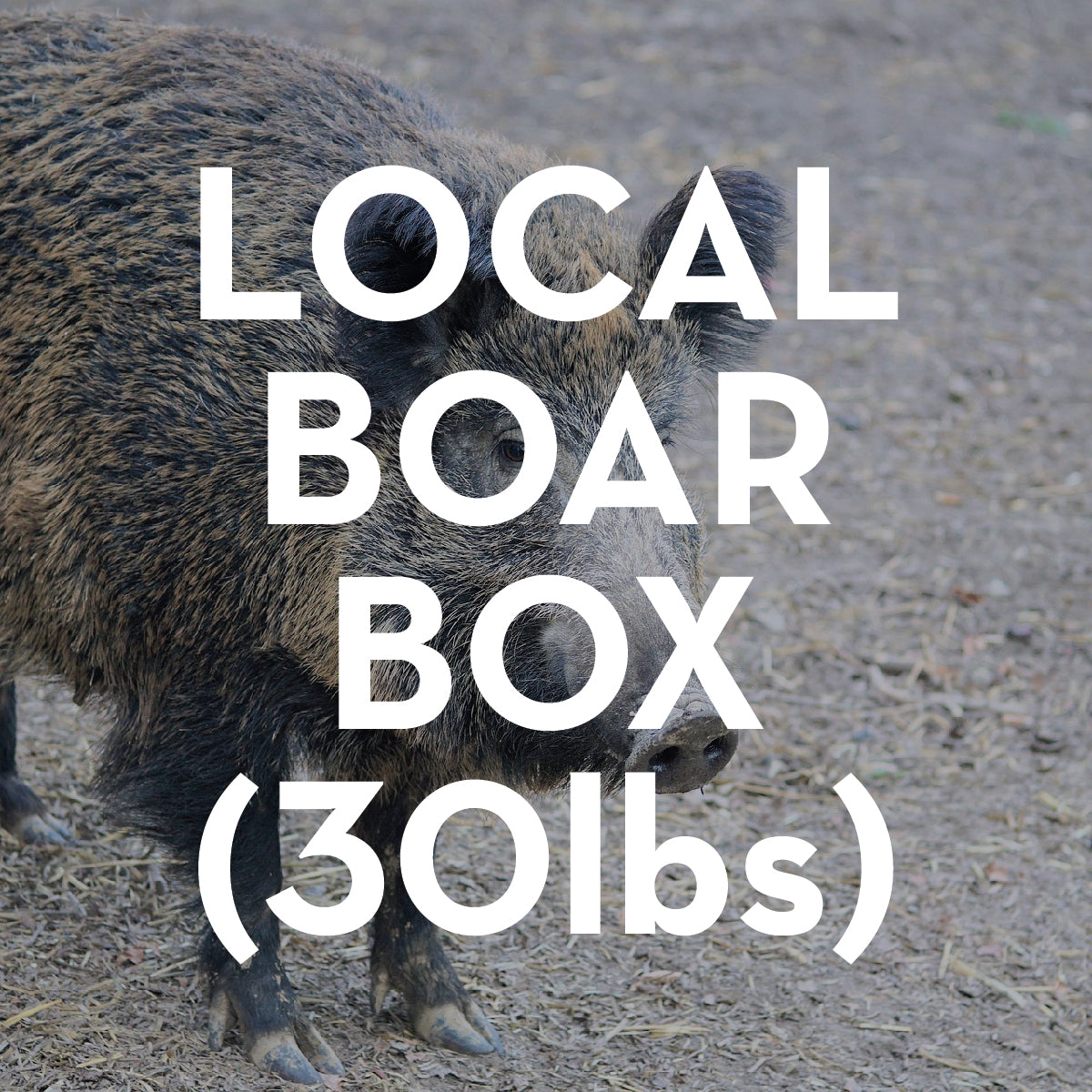 30LB Boar Box The Yukon Meat Company