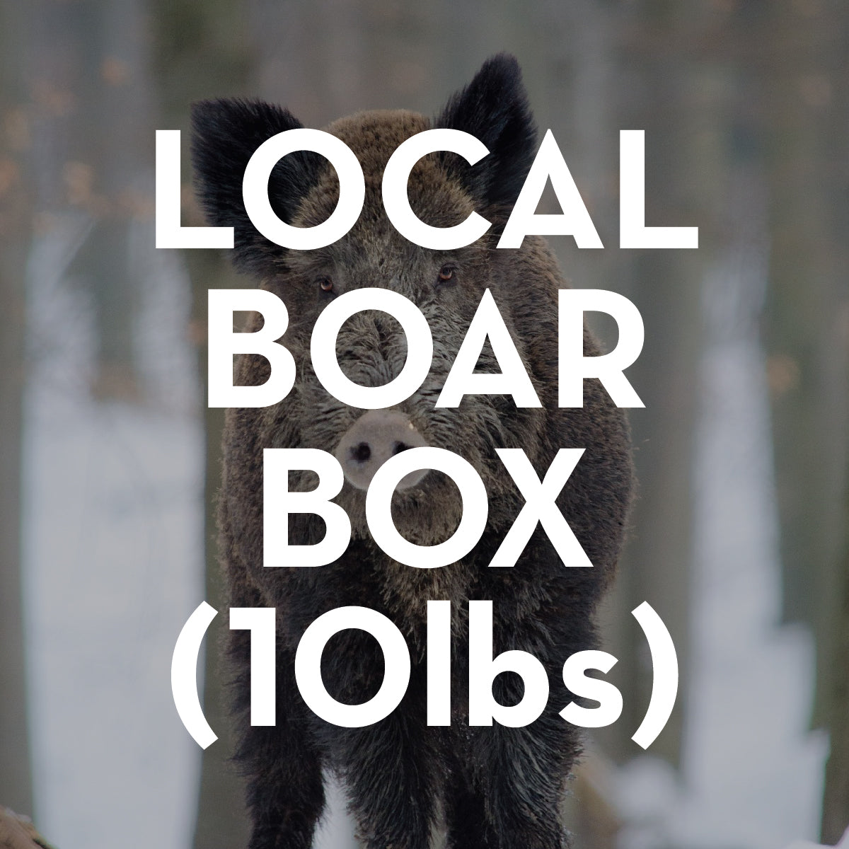 10 pound Local Boar Box Image
