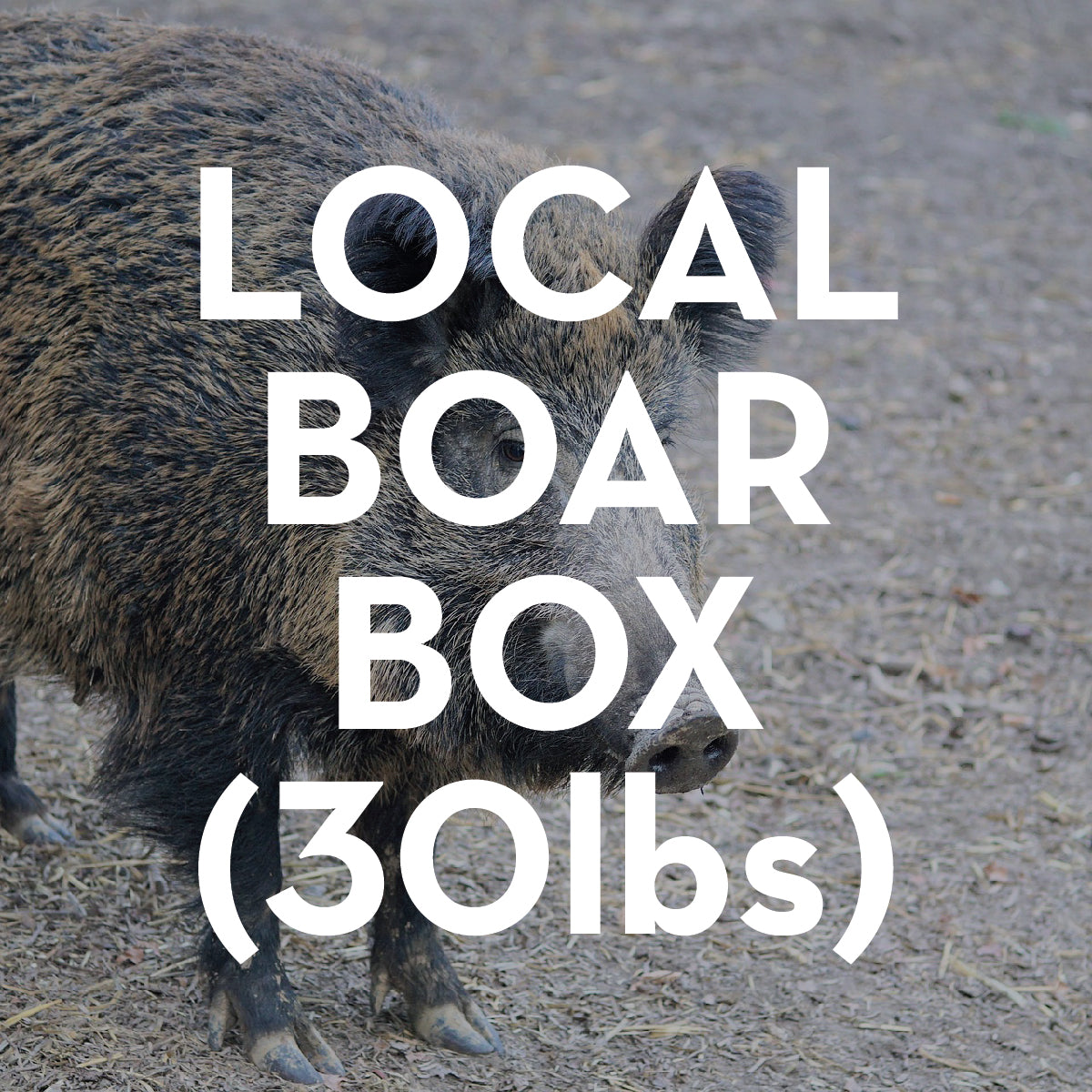 30 pound Local Boar Box Image