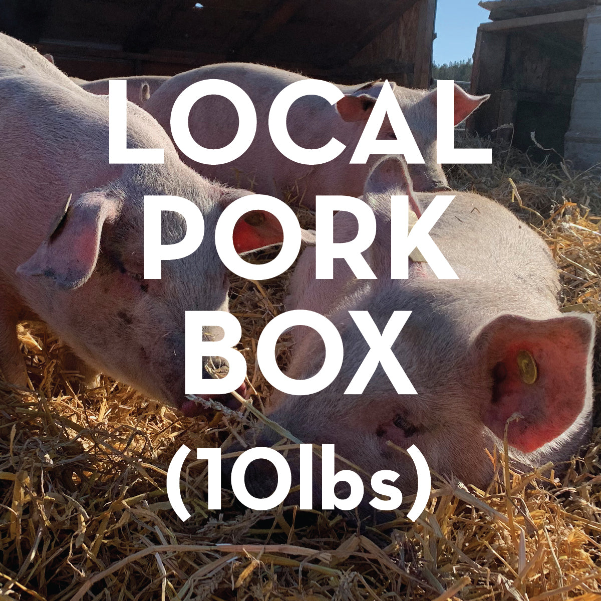 Truly Local 10lb Pork Box